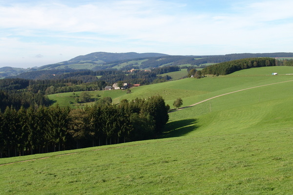 Von St. Märgen zum Kandel und mit dem Bus zurück oder umgekehrt