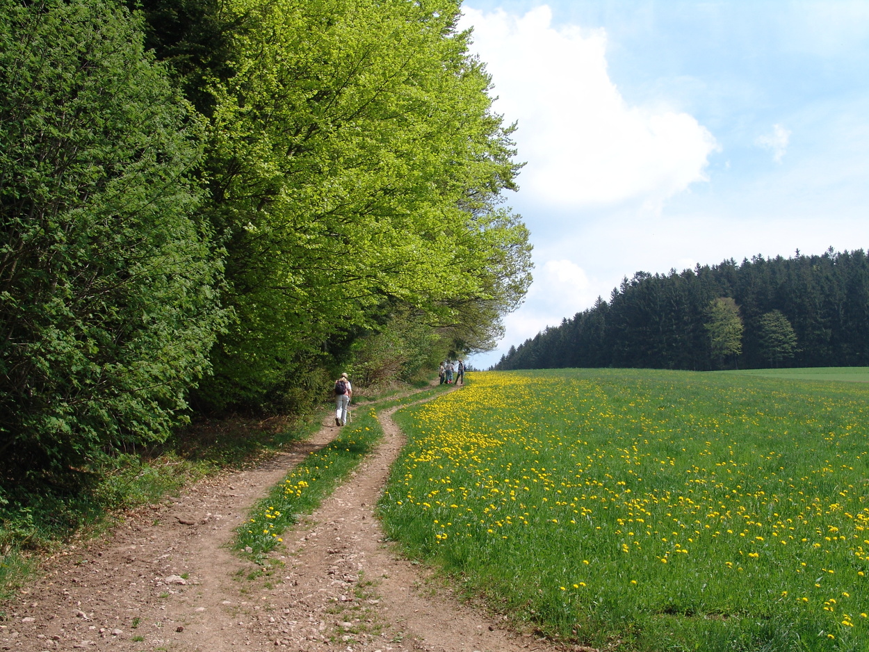 Panorama-Weg nach St. Peter und auf mittelalterlichen Wegen zurück Panorama-Weg nach St. Peter und auf mittelalterlichen Wegen zurück