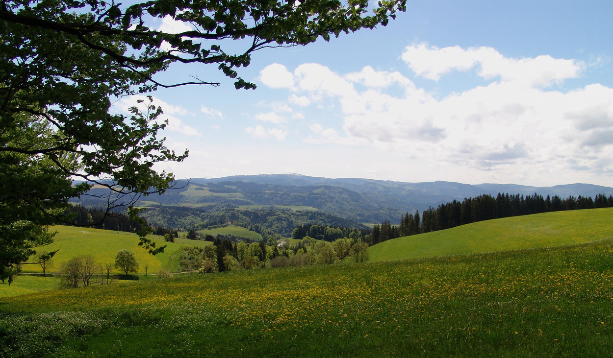 Auf heimlichen Pfaden durch Wald und Feld zum Zwerisberg und aussichtsreich zurück Auf heimlichen Pfaden durch Wald und Feld zum Zwerisberg und aussichtsreich zurück