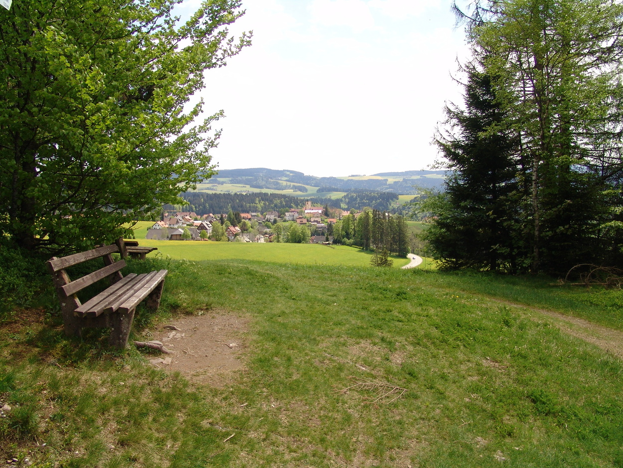 Pfisterwaldrundweg Pfisterwaldrundweg