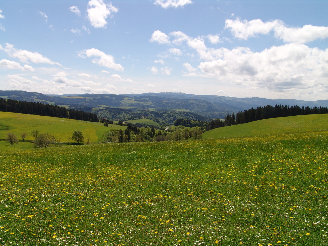 Panoramawanderung rund um den Kapfenberg Panoramawanderung rund um den Kapfenberg