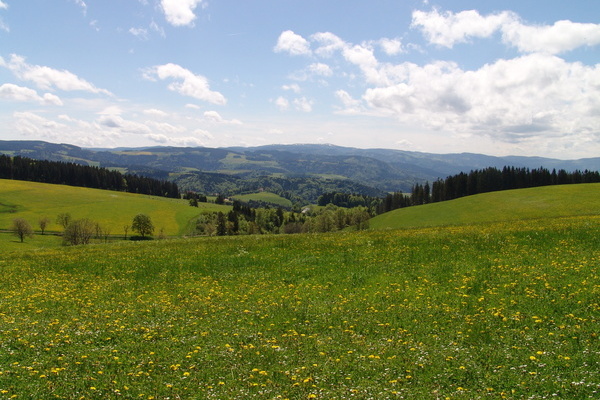 Panoramawanderung rund um den Kapfenberg