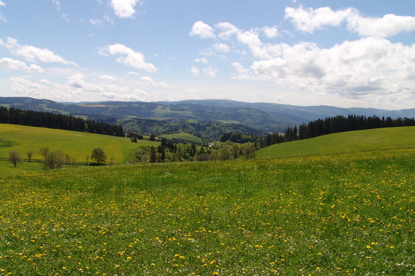 Panoramawanderung rund um den Kapfenberg Panoramawanderung rund um den Kapfenberg