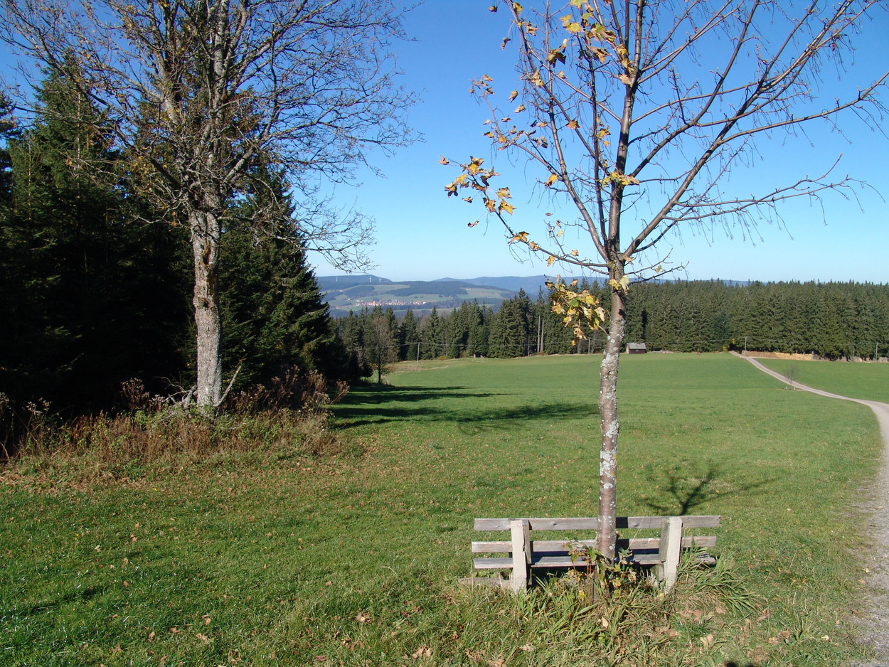 Über offene Höhen und schattige Wälder nach Buchenbach Über offene Höhen und schattige Wälder nach Buchenbach