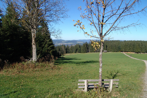 Über offene Höhen und schattige Wälder nach Buchenbach Über offene Höhen und schattige Wälder nach Buchenbach